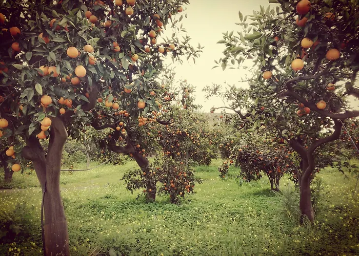 Tenuta Del Gelso Agroturismo Catania