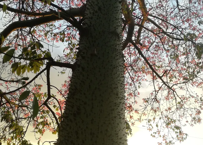Agroturismo Tenuta Del Gelso